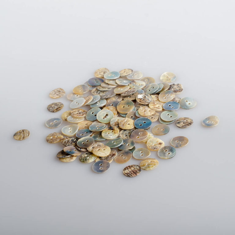 Guzik z muszli naturalnej, opal morski śr. 10 mm