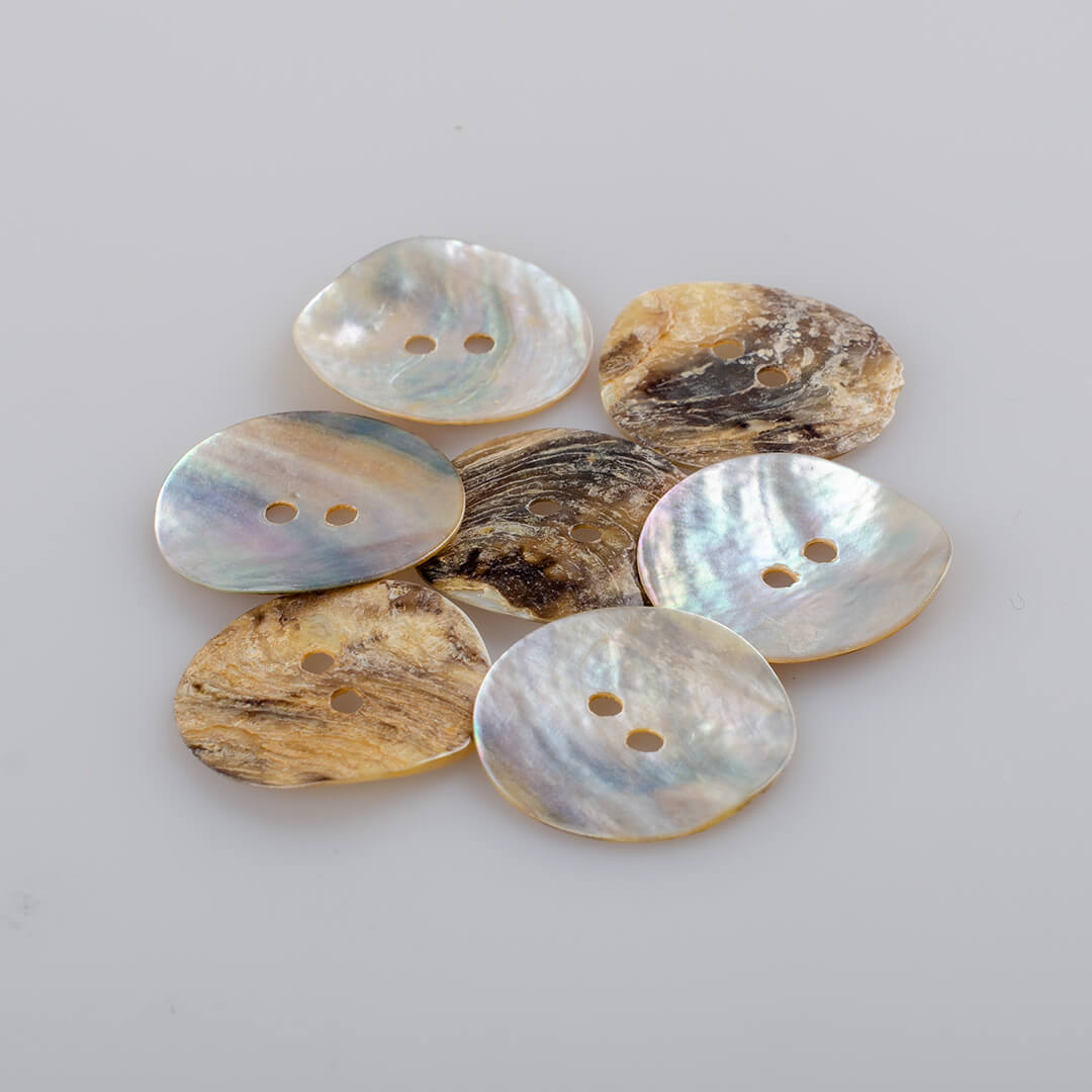 Guzik z muszli naturalnej, opal morski śr. 25 mm